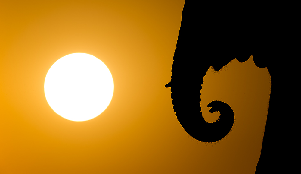 Keep on the sunny side!