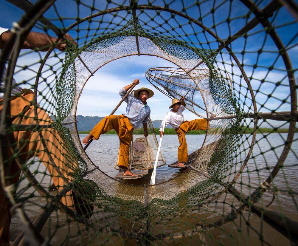 Into the net