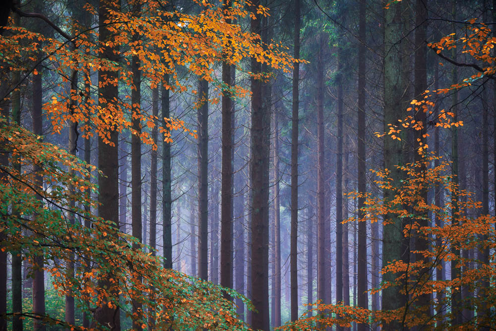 Fascinating Lighting