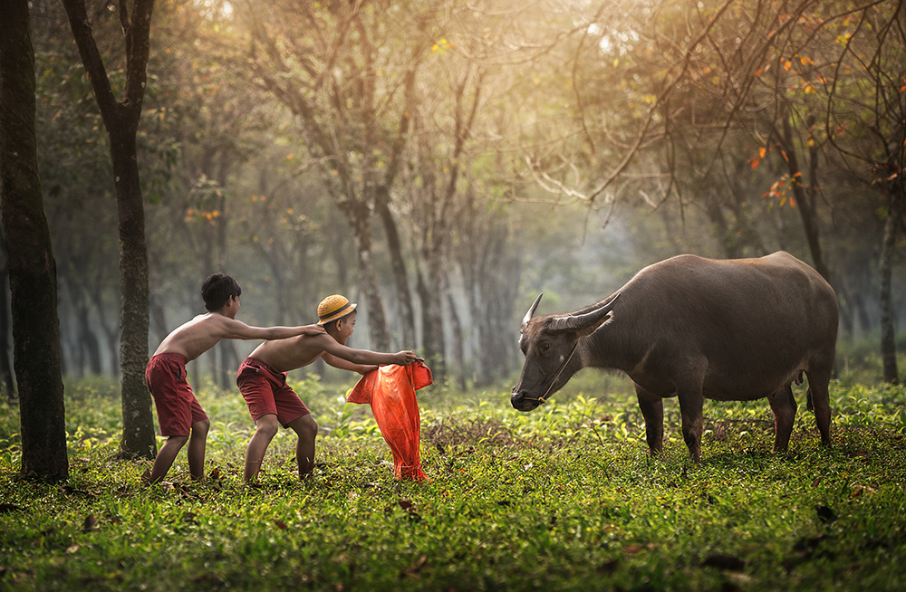 No Electronic pollution childhood