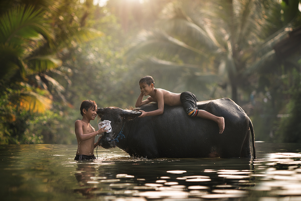 No Electronic pollution childhood