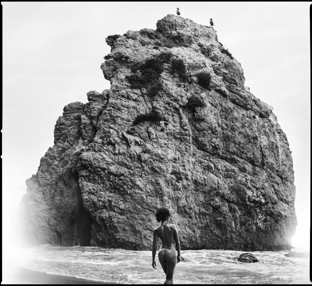 SALT + SEA