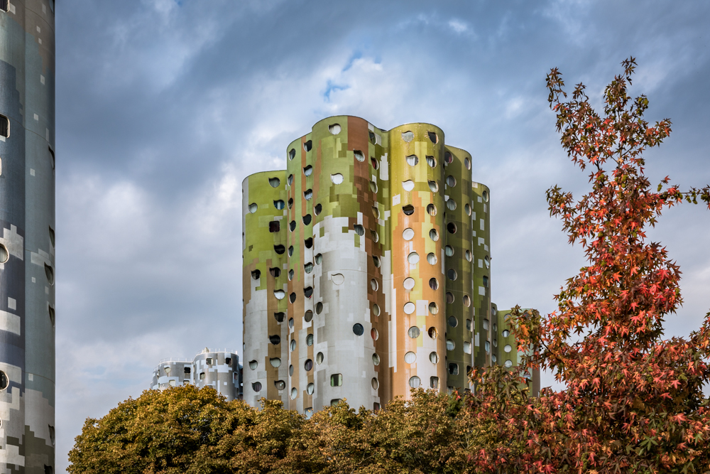 Banlieue in Autumn