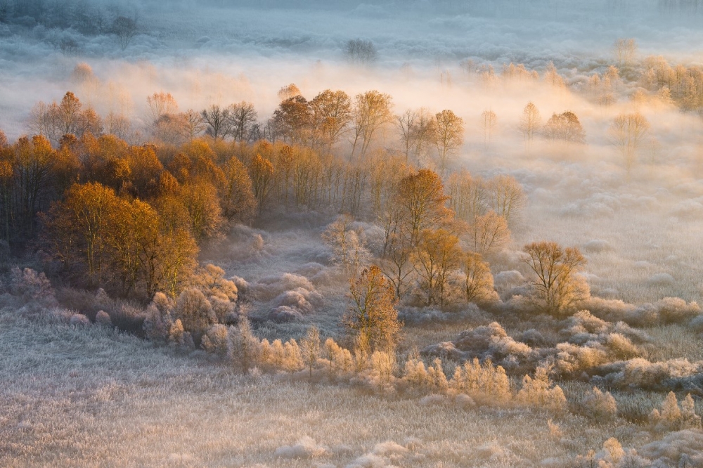 Autumn becames Winter