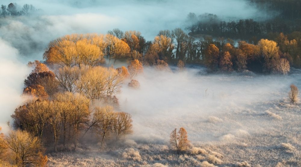 Autumn becames Winter