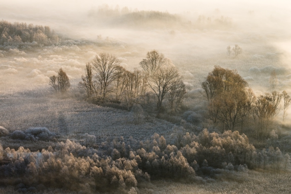 Autumn becames Winter