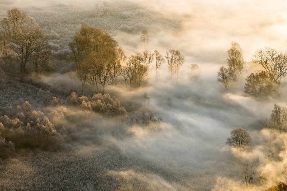 Autumn becames Winter