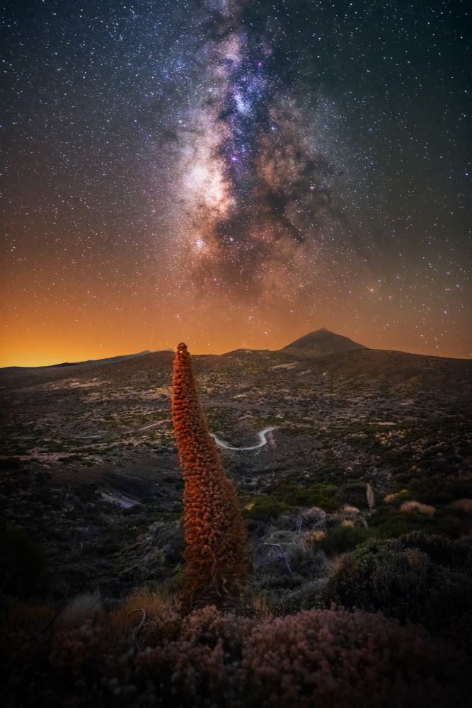 Explore the Night