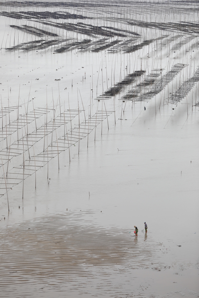 Tidal Land