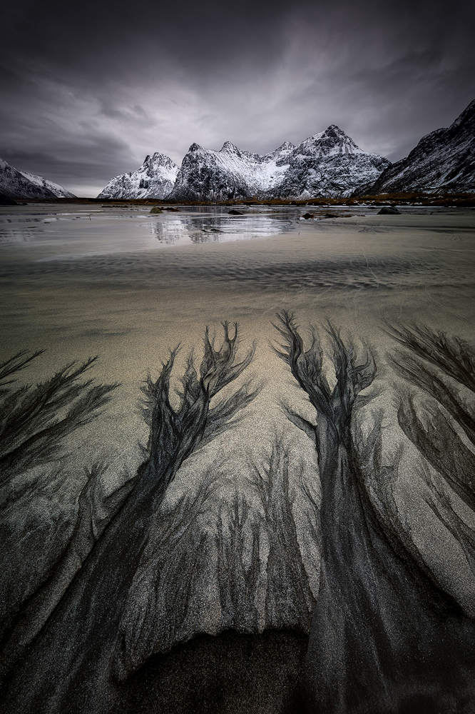 The Patterns of Skagsanden