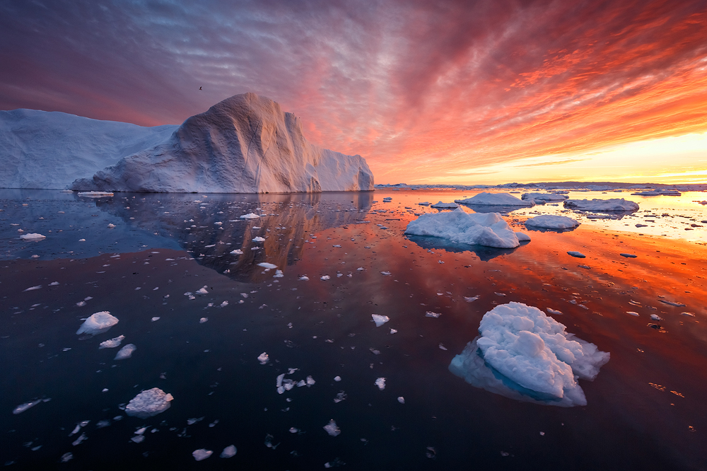 The Icebergs of Disko Bay