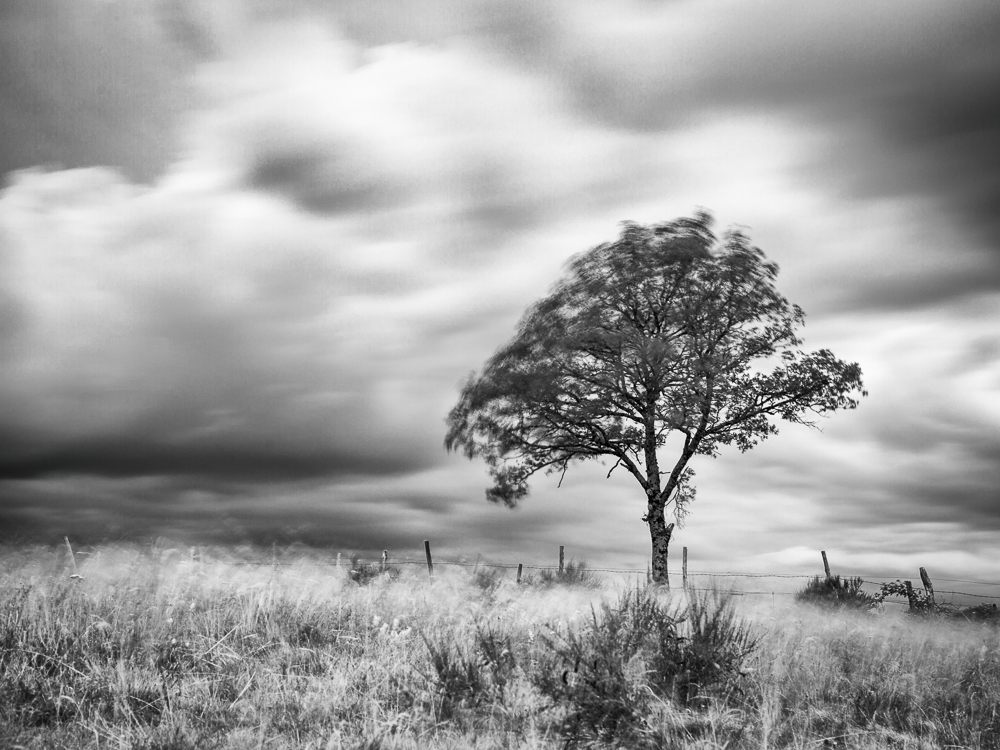 Windy day