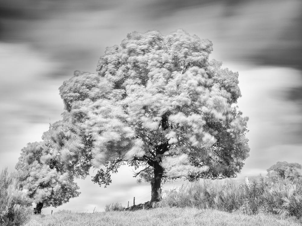 Windy day
