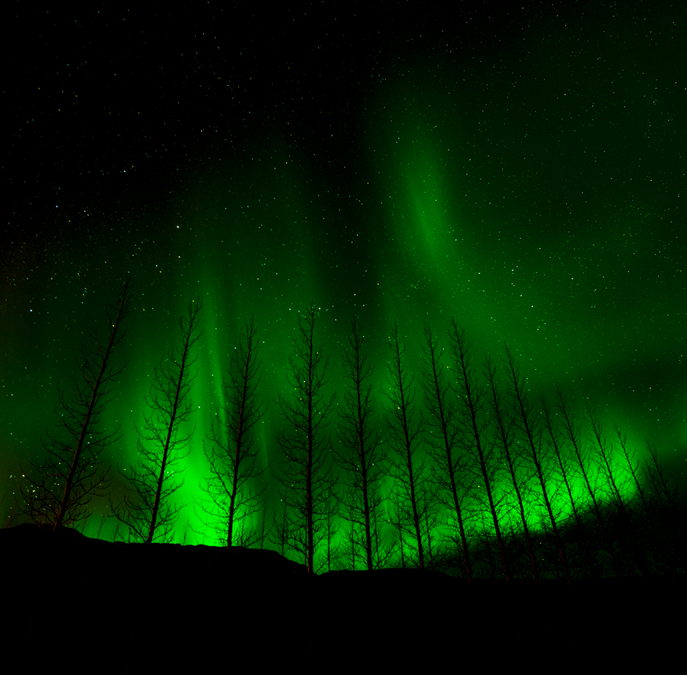 Land of Fire and Ice