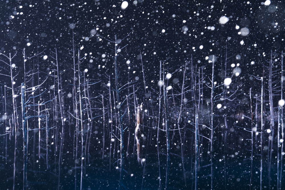 Snowy lake.
