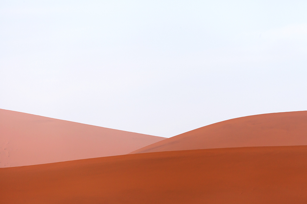 Desert Essential.