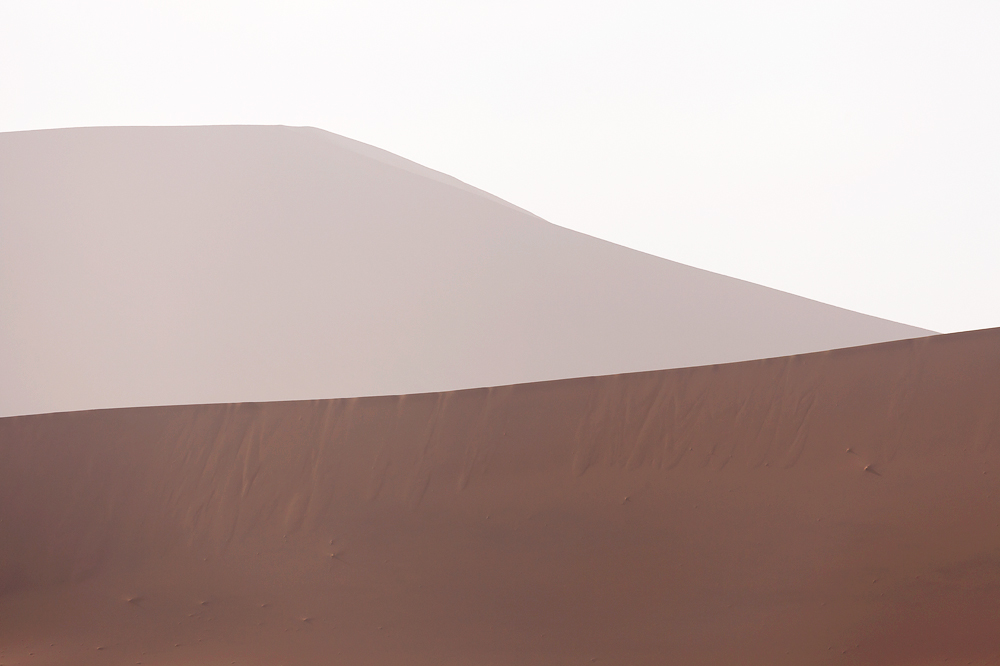 Desert Essential.