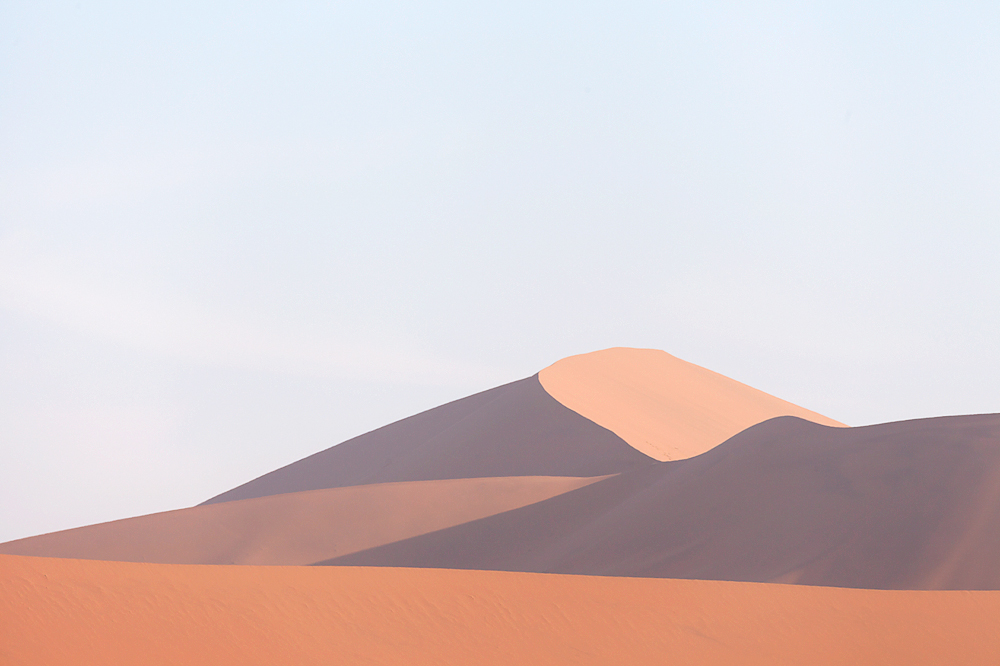Desert Essential.