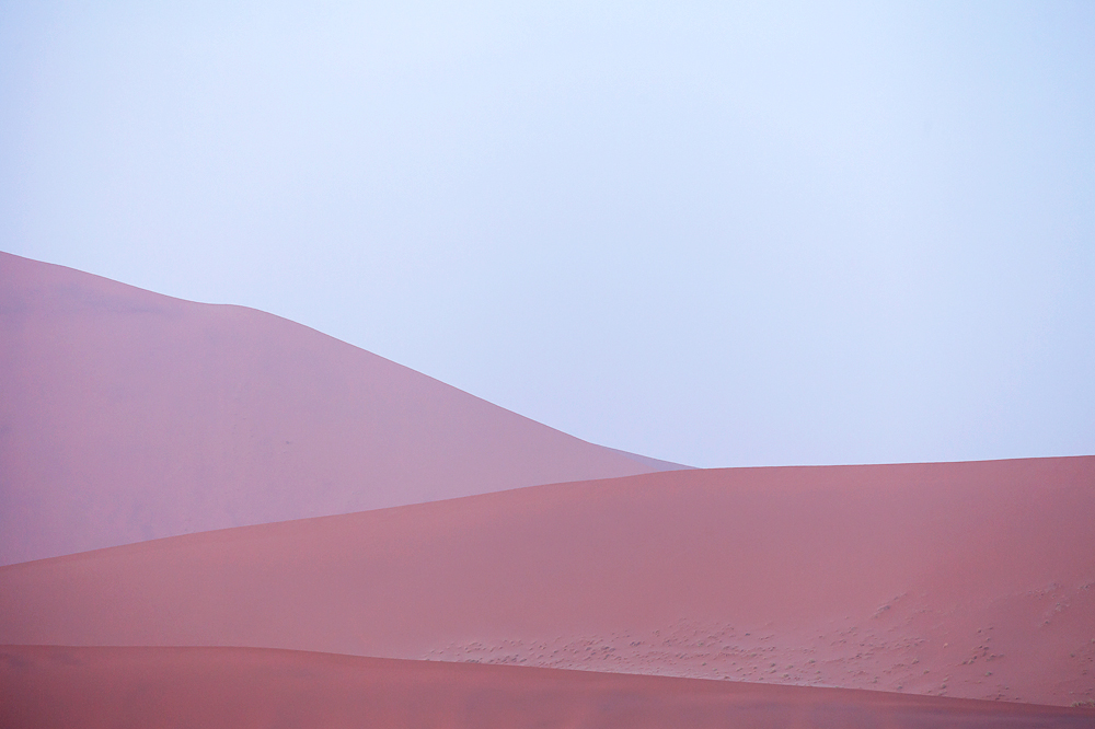 Desert Essential.