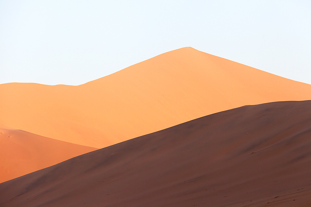 Desert Essential.