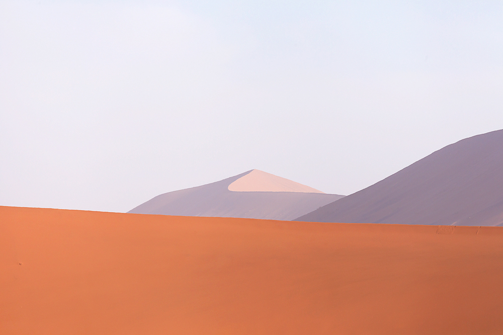 Desert Essential.