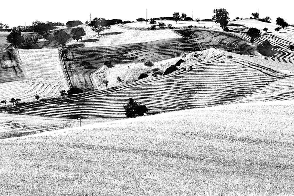 La mia Terra