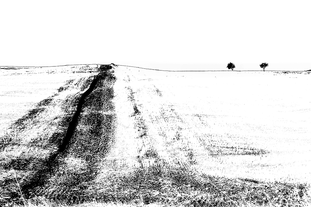 La mia Terra