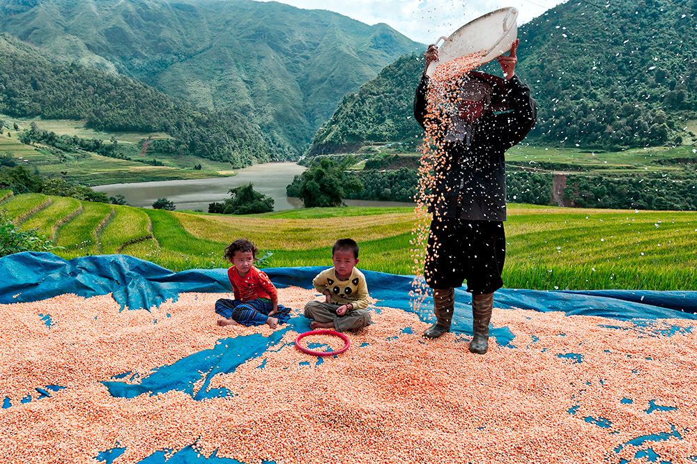 Women at work in Vietnam