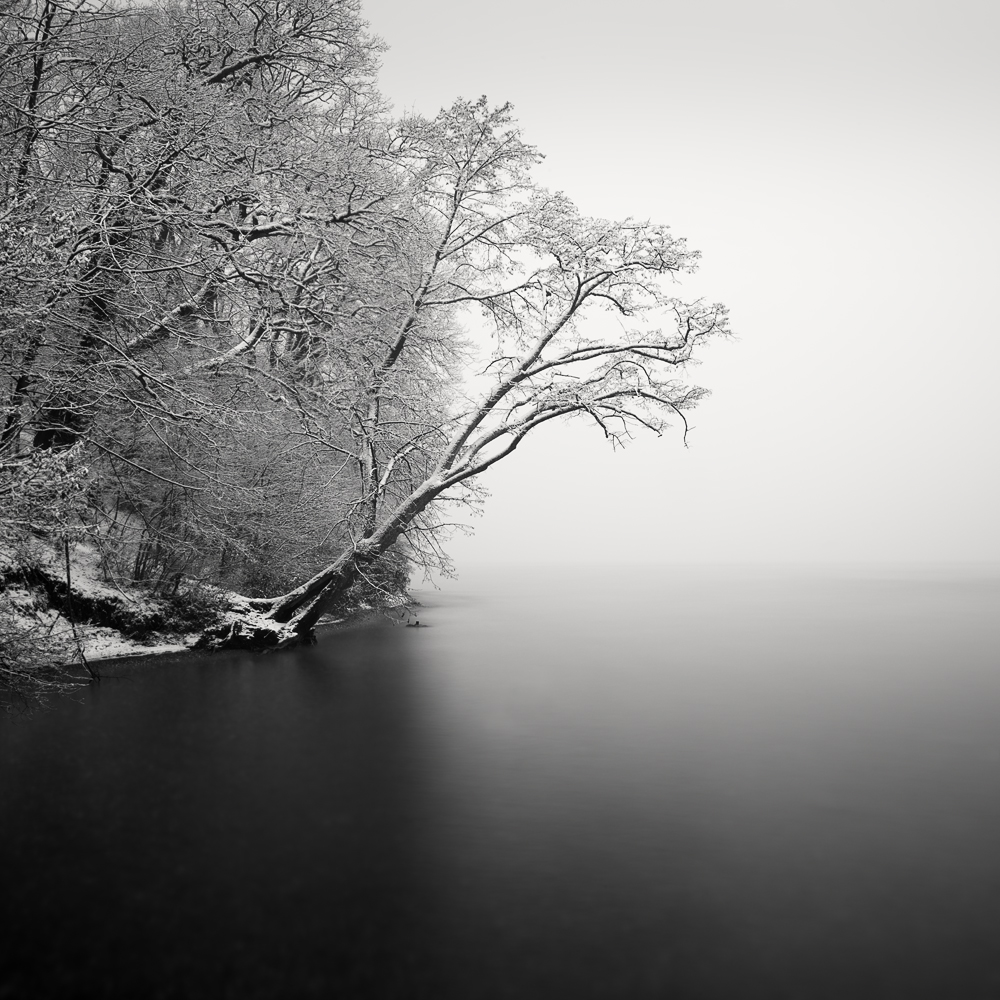 Leman
