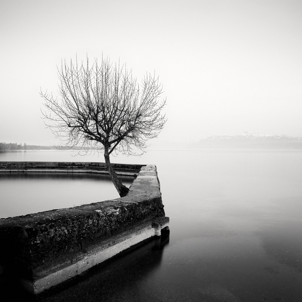 Leman
