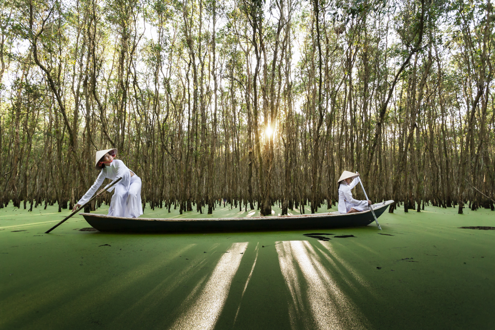 Tra Su Cajuput Forest