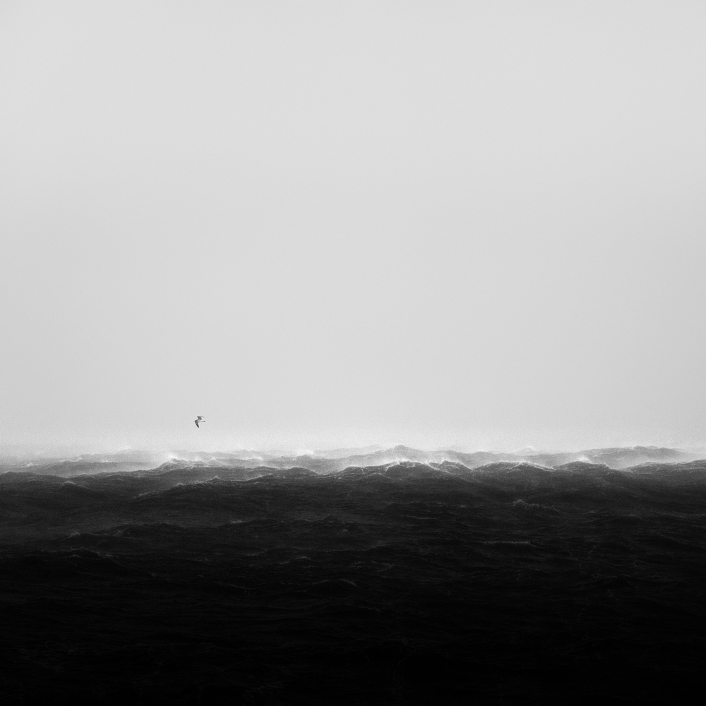 The Arctic Storm