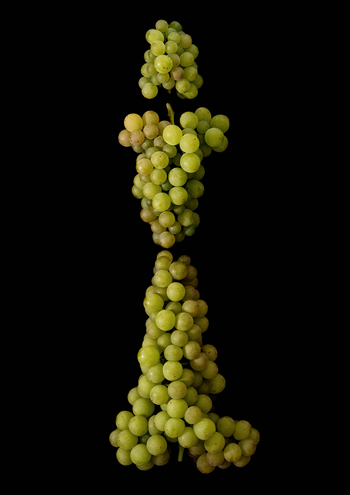 Portrait of Fruits