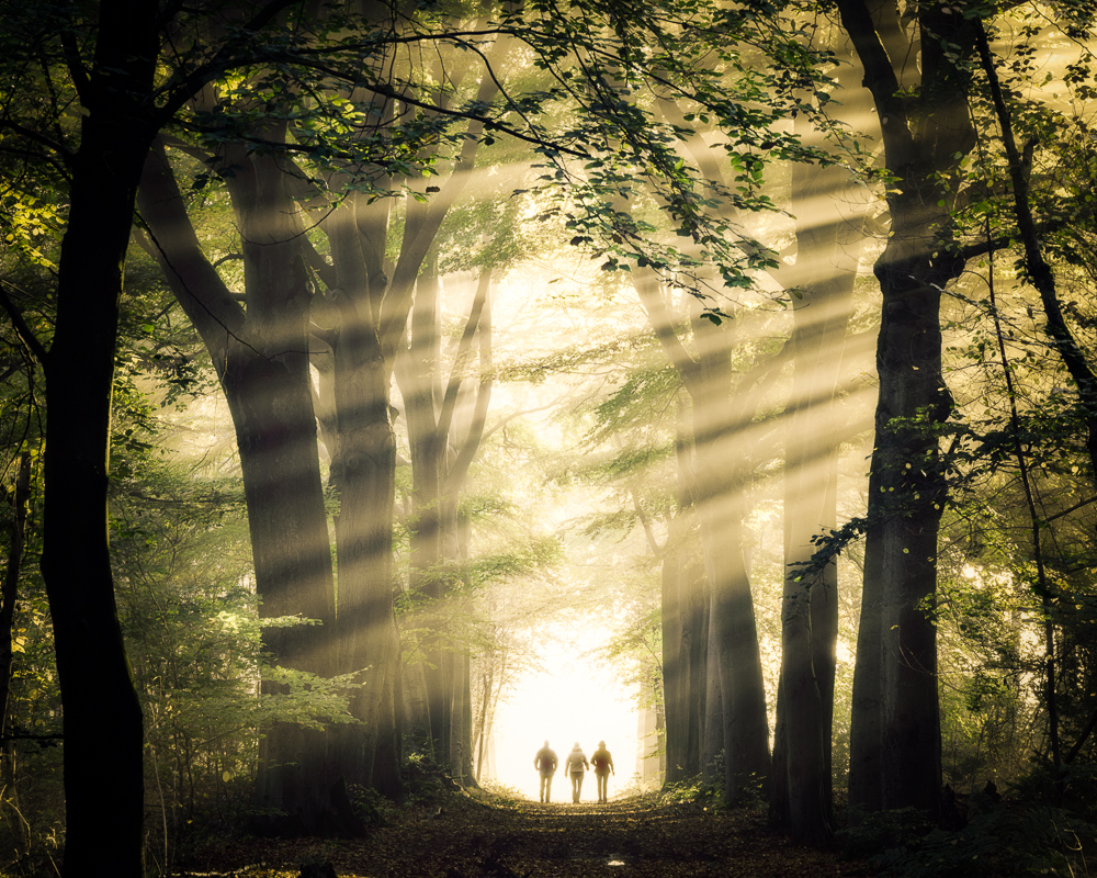 Magic of nature