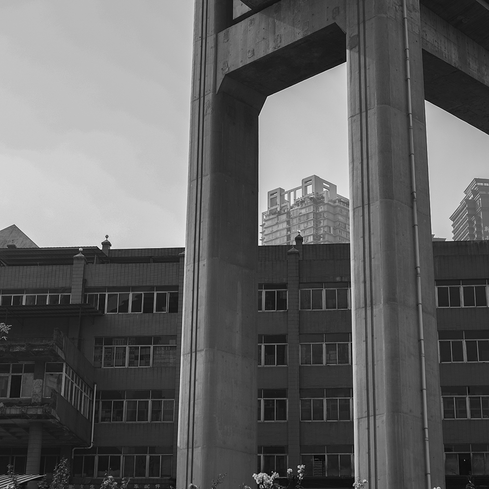 “1984”