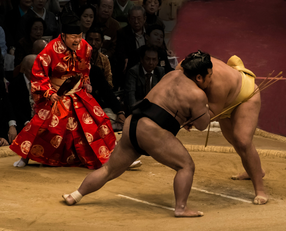 Sumo wrestlers