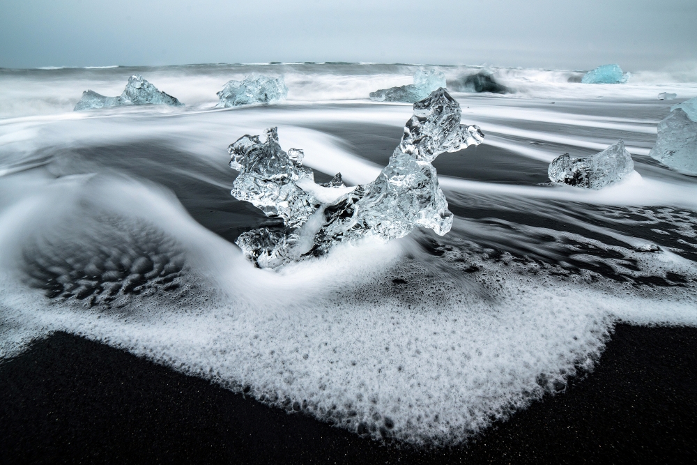 Ice Poodle