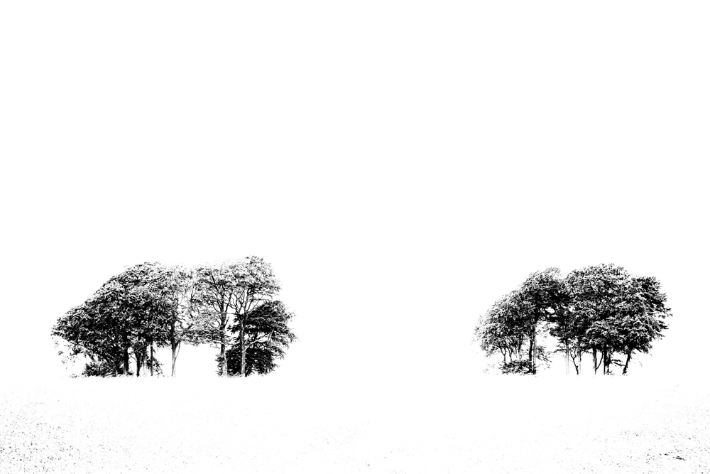 From the Series 