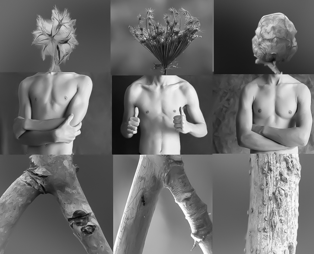 Tree Brothers