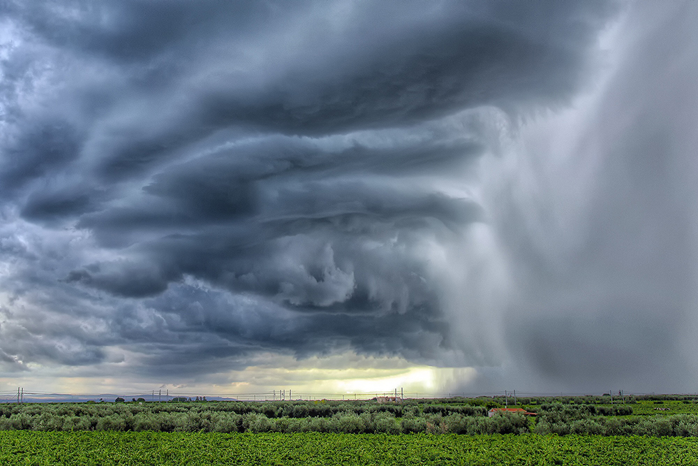 Storm