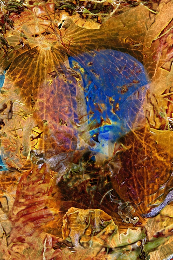 Experimental fairy tales