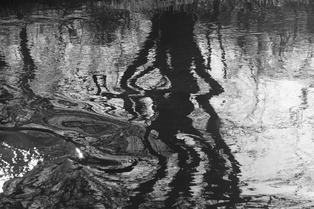 Shadows