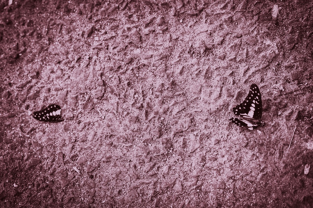 End of innocence
