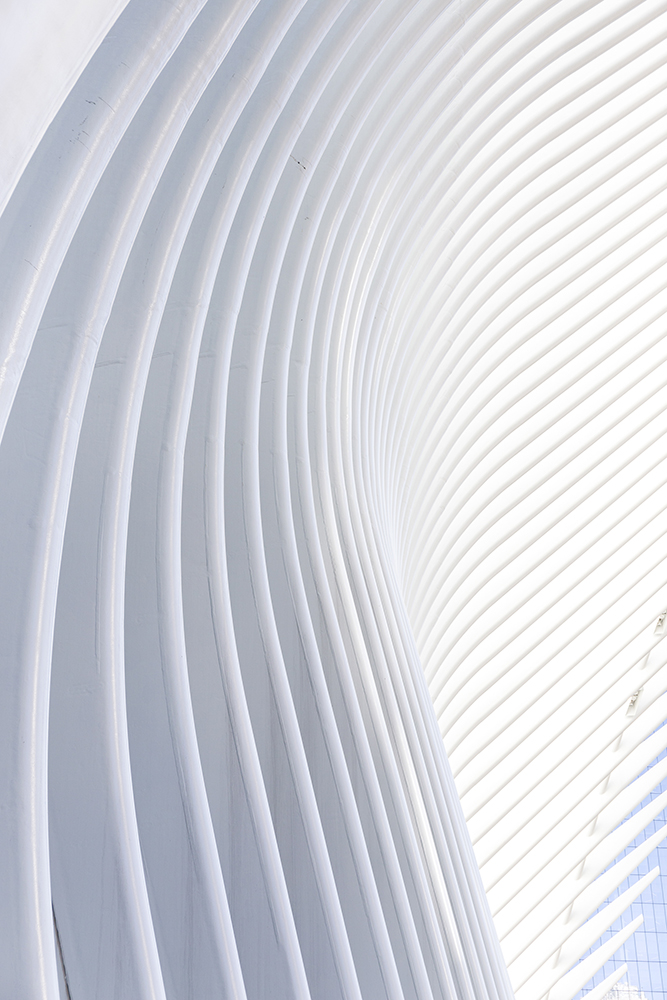 Oculus