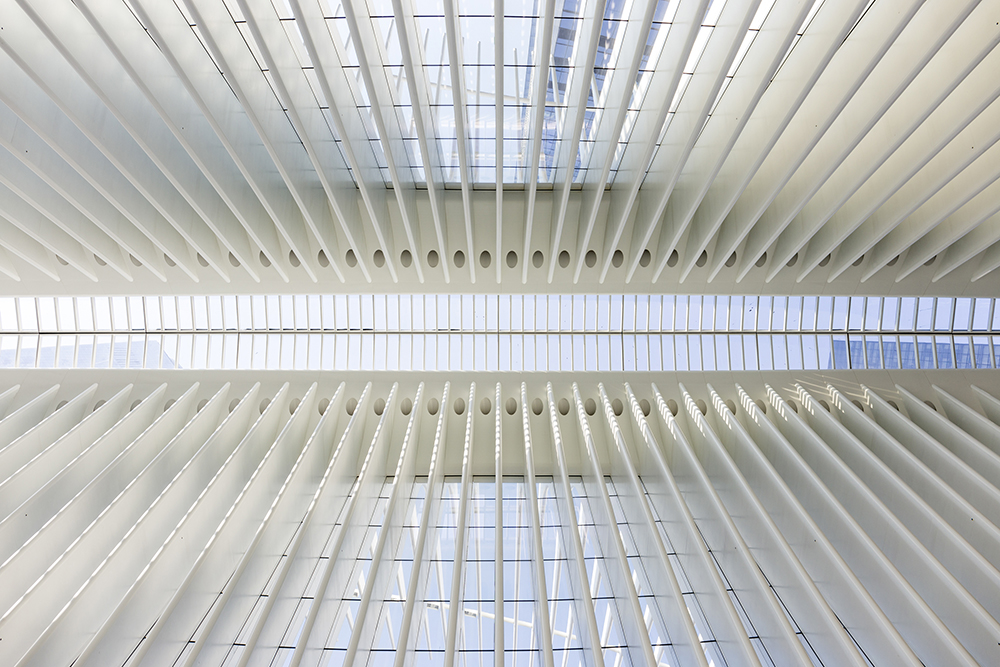 Oculus
