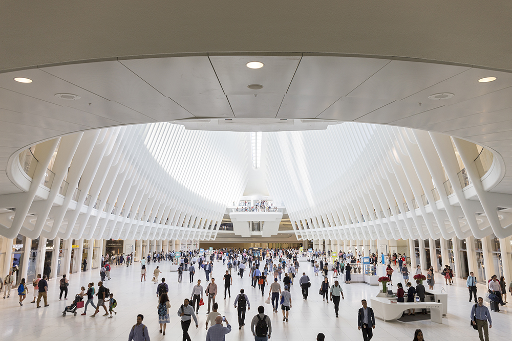 Oculus