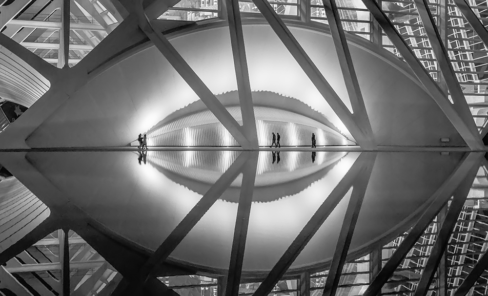 The Eye and the Fish
