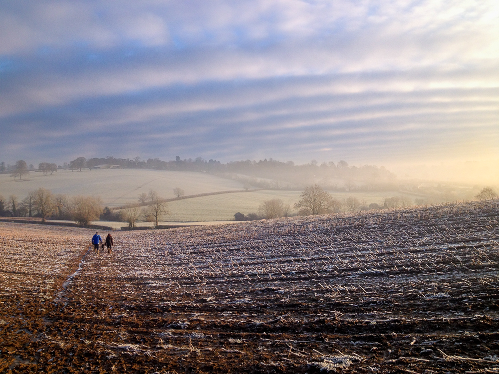 Winter Landscape