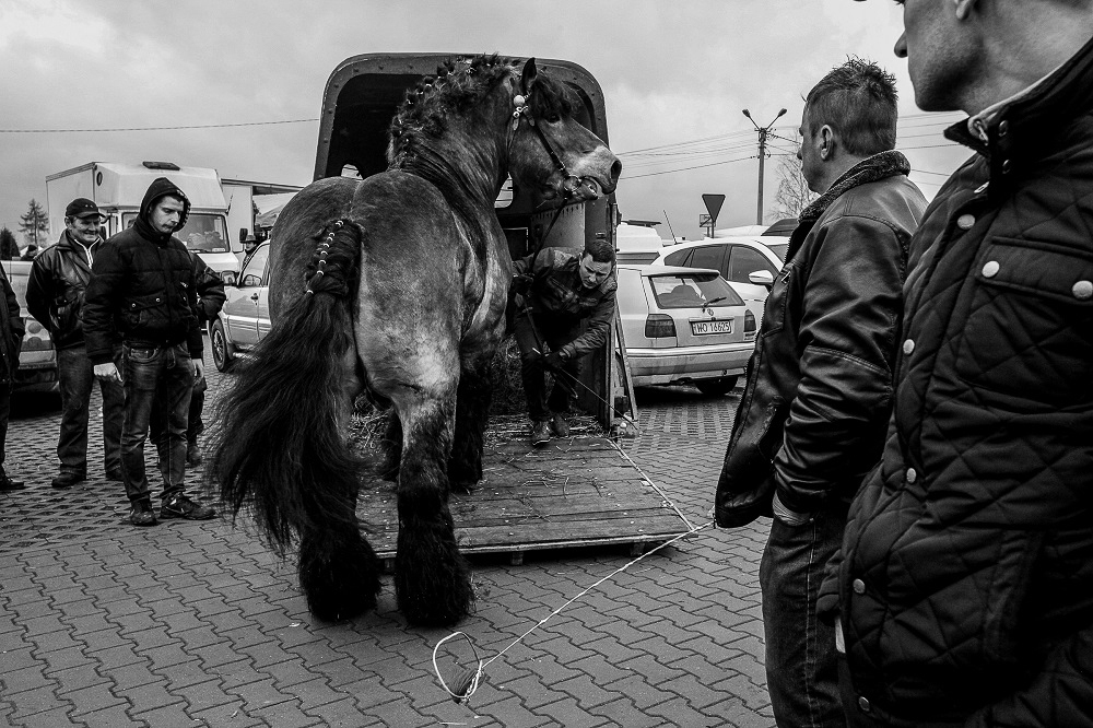  Horse market in Staryszew 