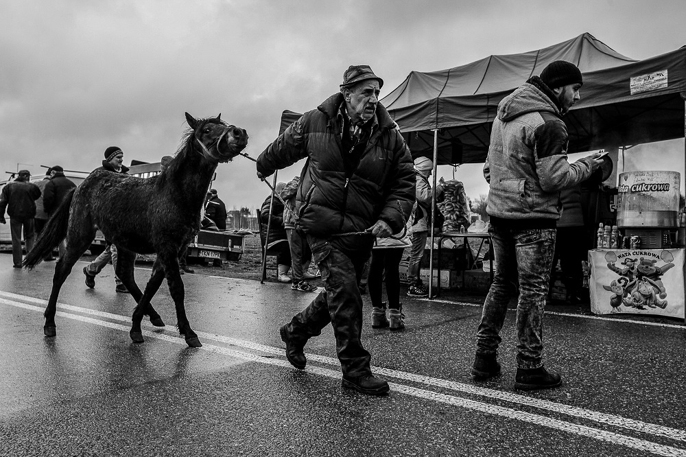  Horse market in Staryszew 